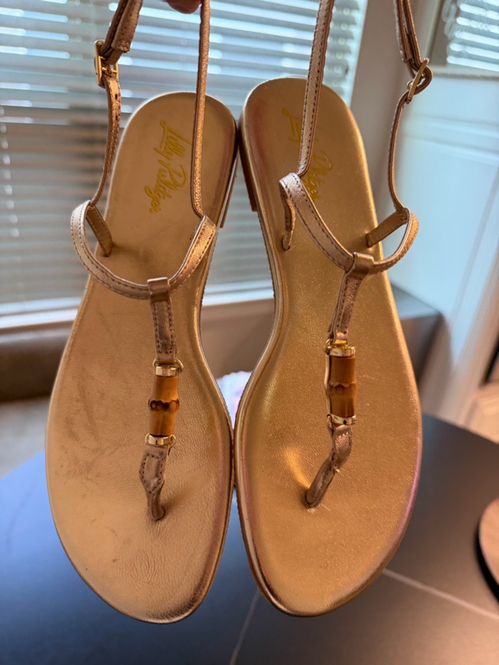 Lilly Pulitzer Gold T-Strap Sandals - Picture 7 of 11